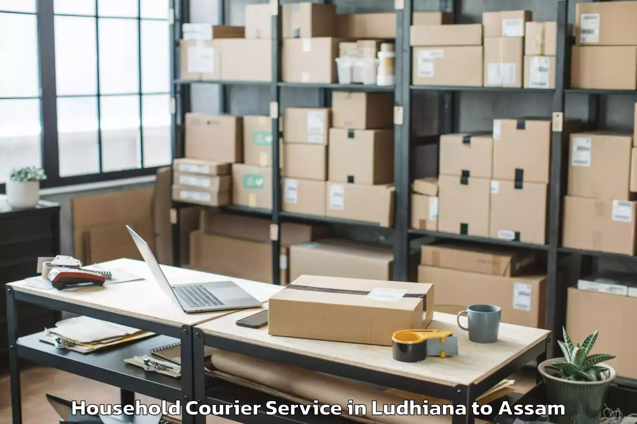 Book Ludhiana to Moranhat Town Household Courier